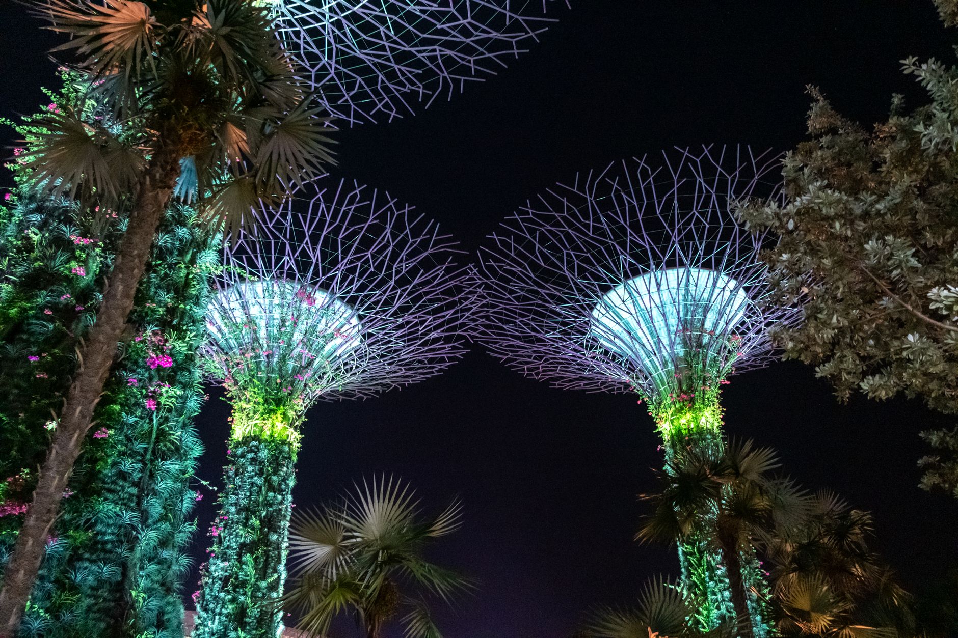 「シンガポール「ガーデンズ・バイ・ザ・ベイ」：未来都市の植物園と光と音のショーを満喫するナイトガイド」