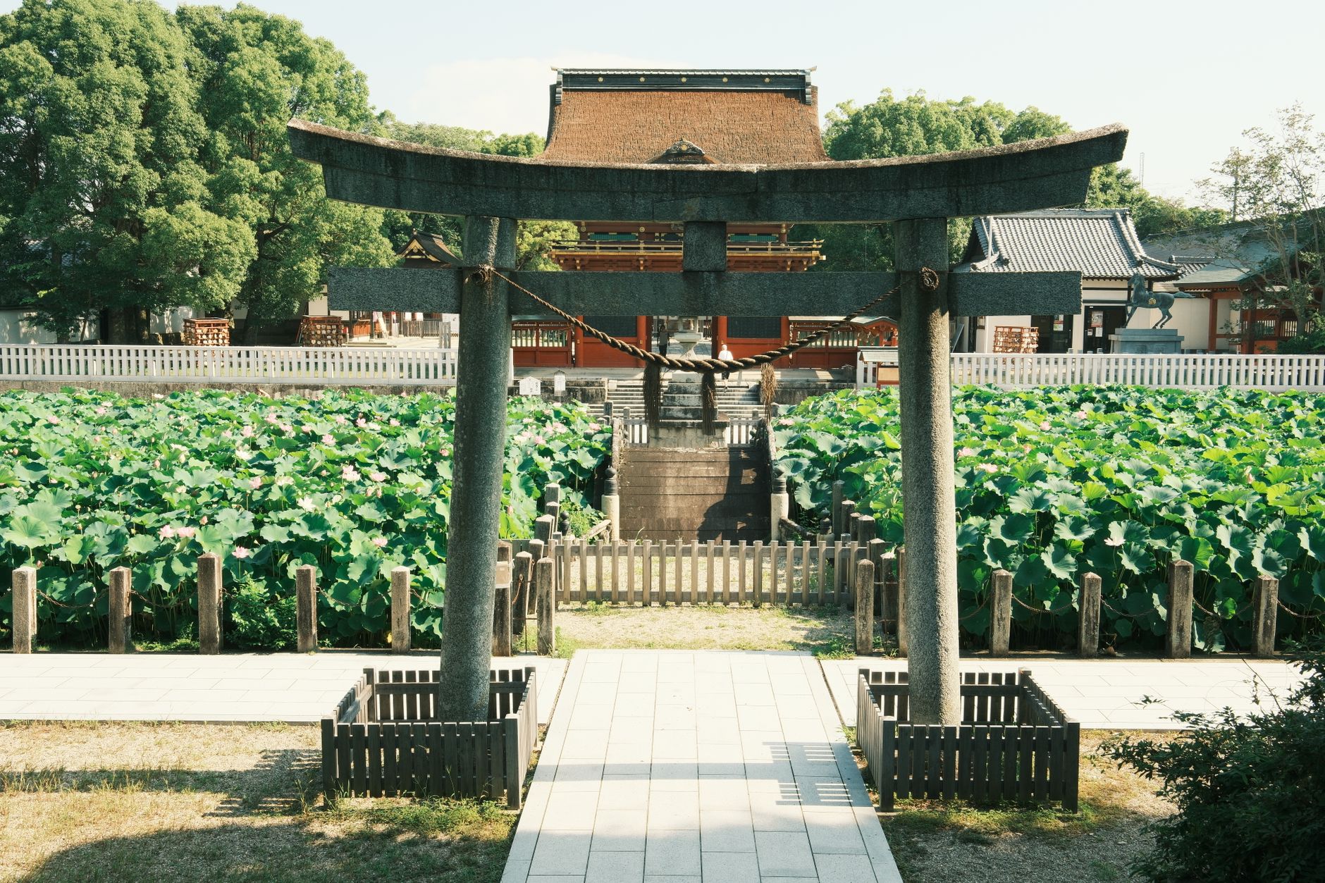 神々が集う地へ：出雲大社の正しい『二礼四拍手一礼』と門前町のご当地そば巡り