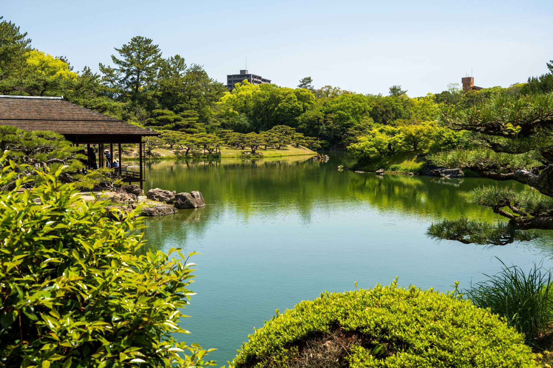 涼やかな水辺を歩く。清澄庭園で体験する「磯渡り」と初夏の名石巡り