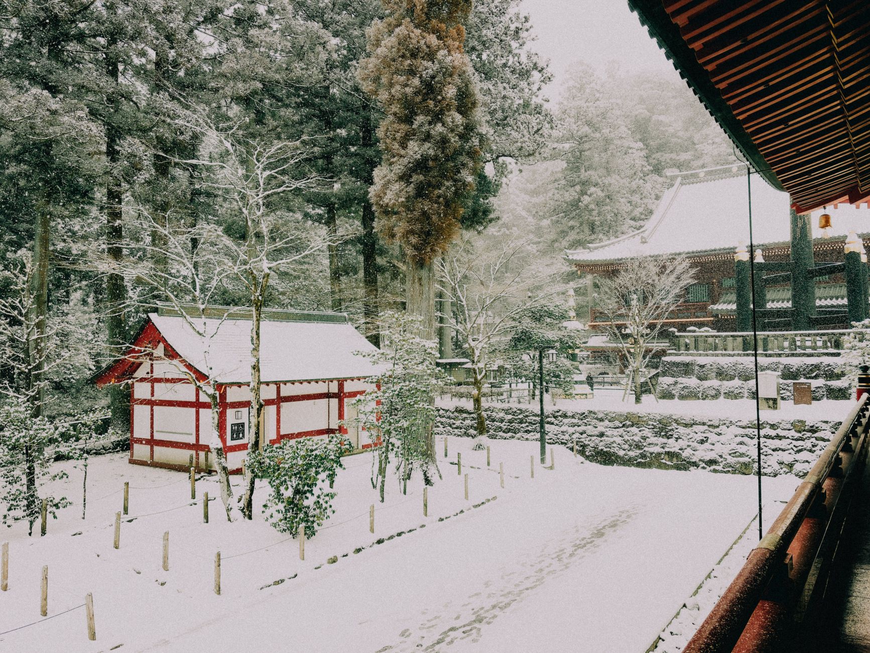 お得なきっぷで巡る夏の避暑旅！日光東照宮・中禅寺湖の1日観光実用ルートガイド