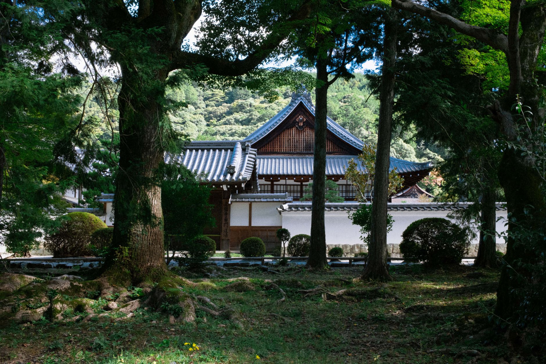 京都・大原の隠れた名庭『実光院』と『宝泉院』。洛北の静寂に浸る、大人の苔寺巡りガイド