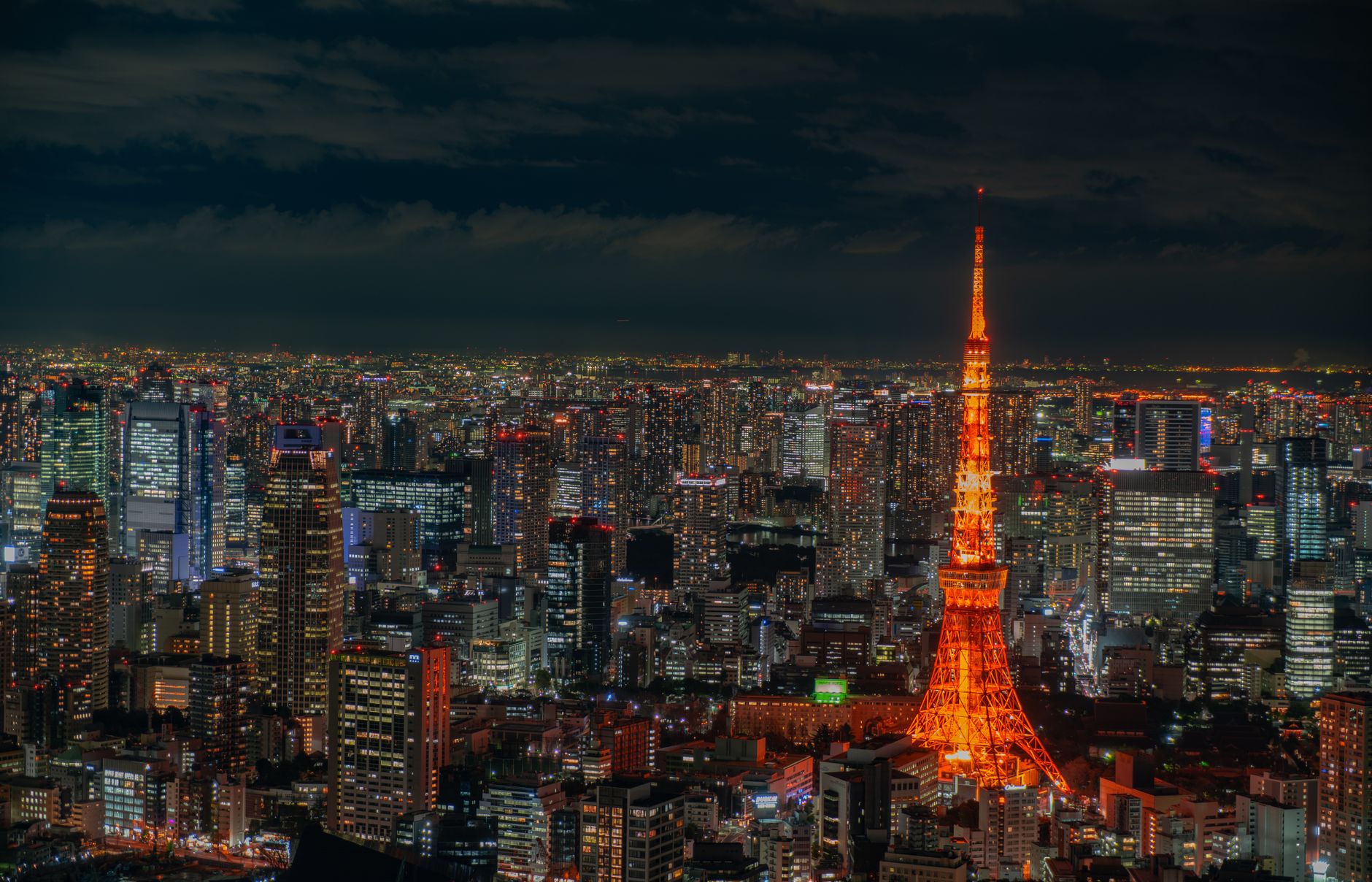 東京タワーを目の前に。六本木ヒルズ「東京シティビュー」で楽しむ大人の夜景散歩