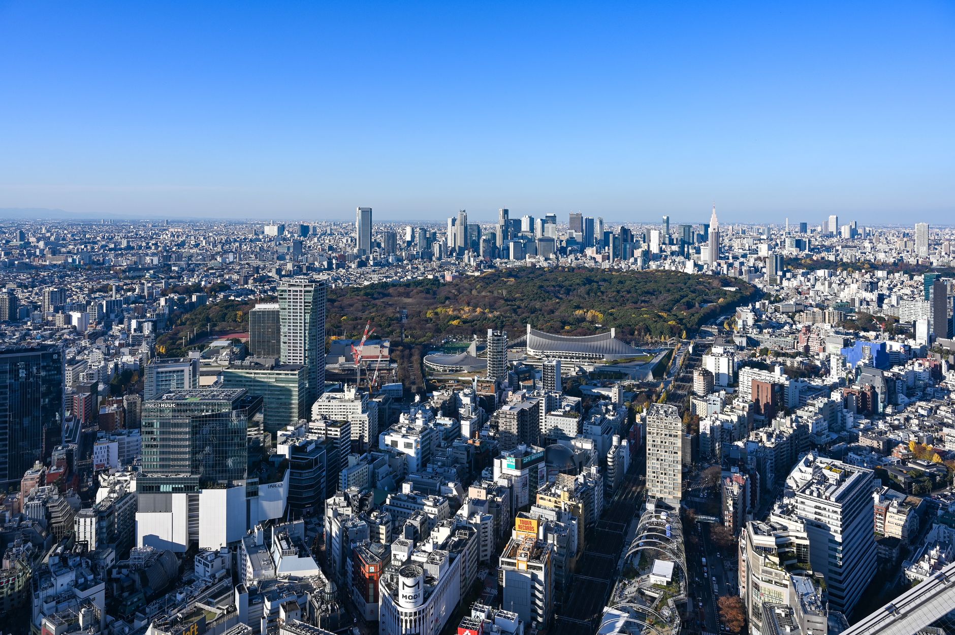 新宿御苑で過ごす夏の休日。都心のオアシスで青空ピクニックと庭園散策を楽しむ