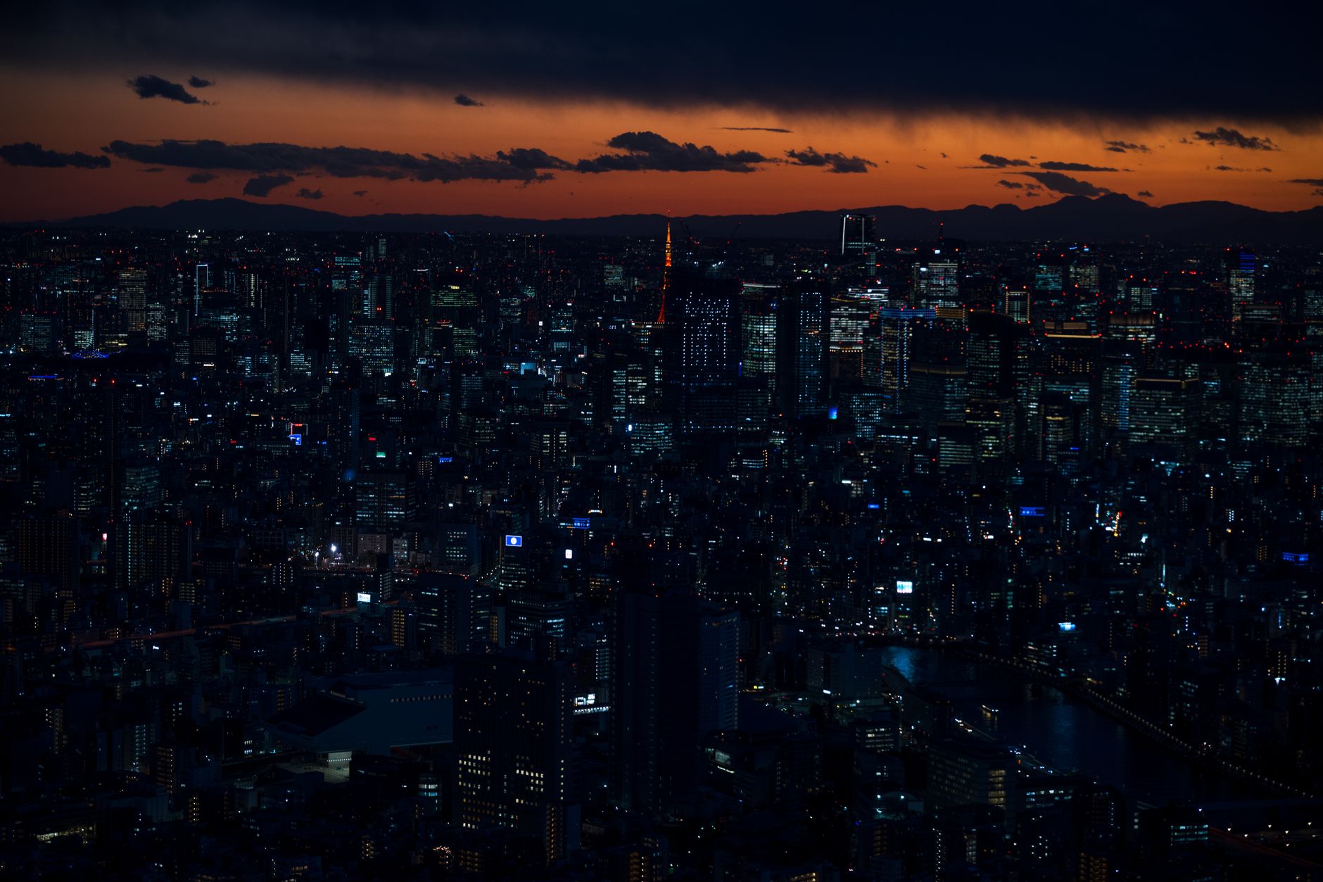 お金をかけずに東京を楽しむ：無料スポットの歩き方