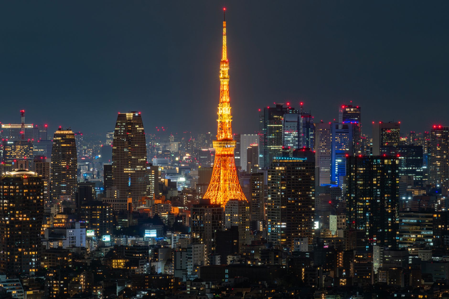 夜の東京タワーを特等席で眺める：芝公園と周辺無料夜景スポットお散歩ルート