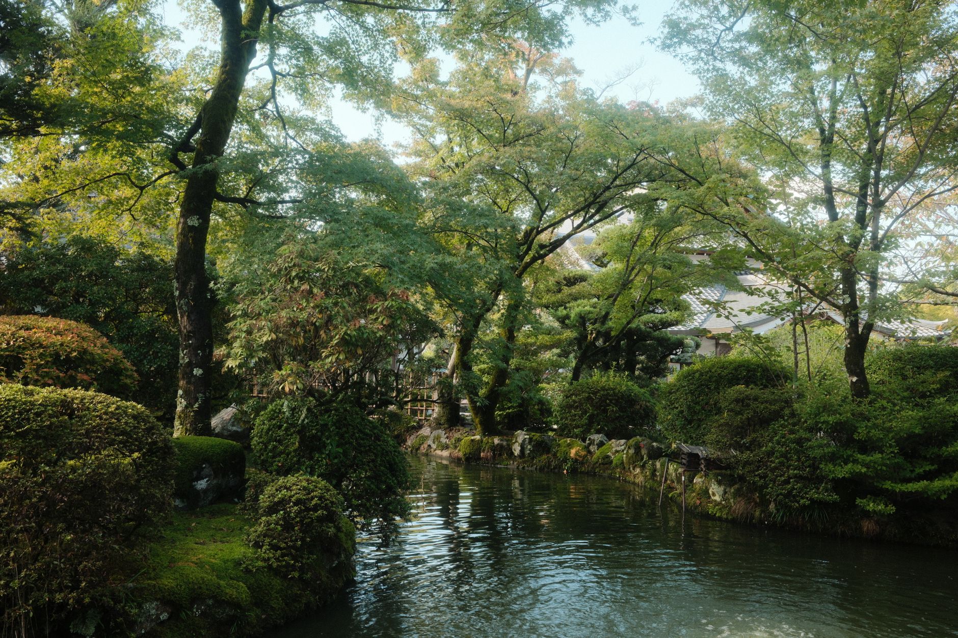 早朝の静かな京都の寺院と日本庭園