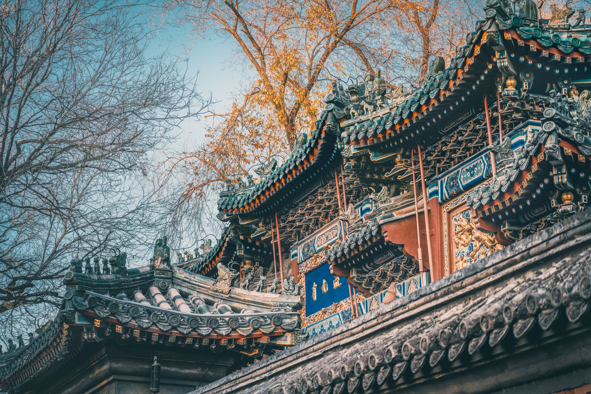 陶山 蒼