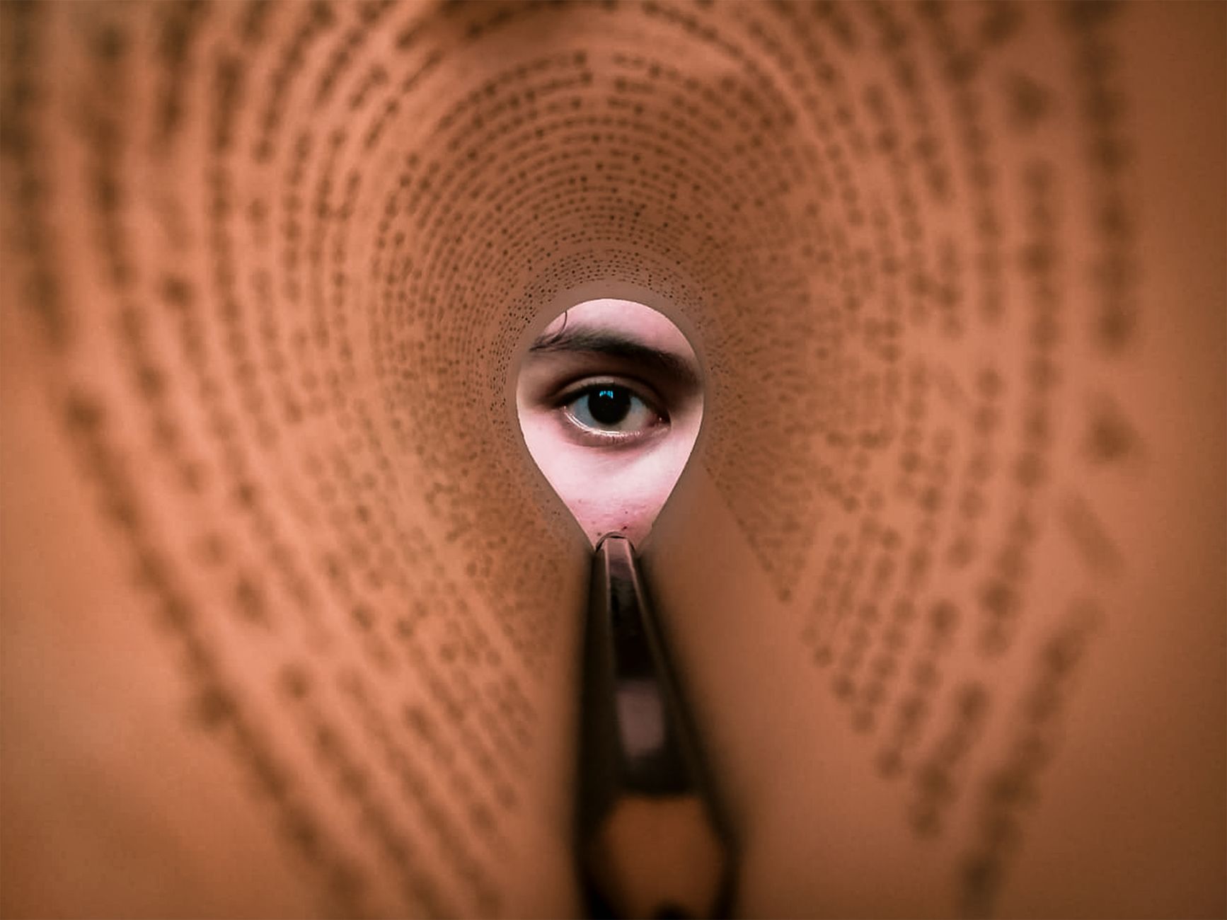 視覚と読書の研究をイメージした画像