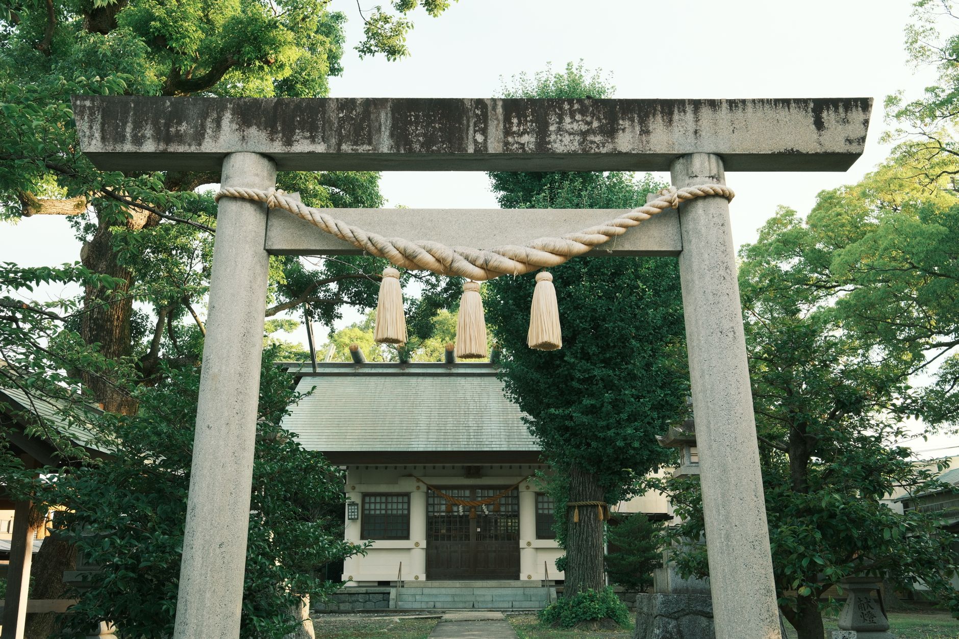 出雲大社の静謐な鳥居と参道の風景