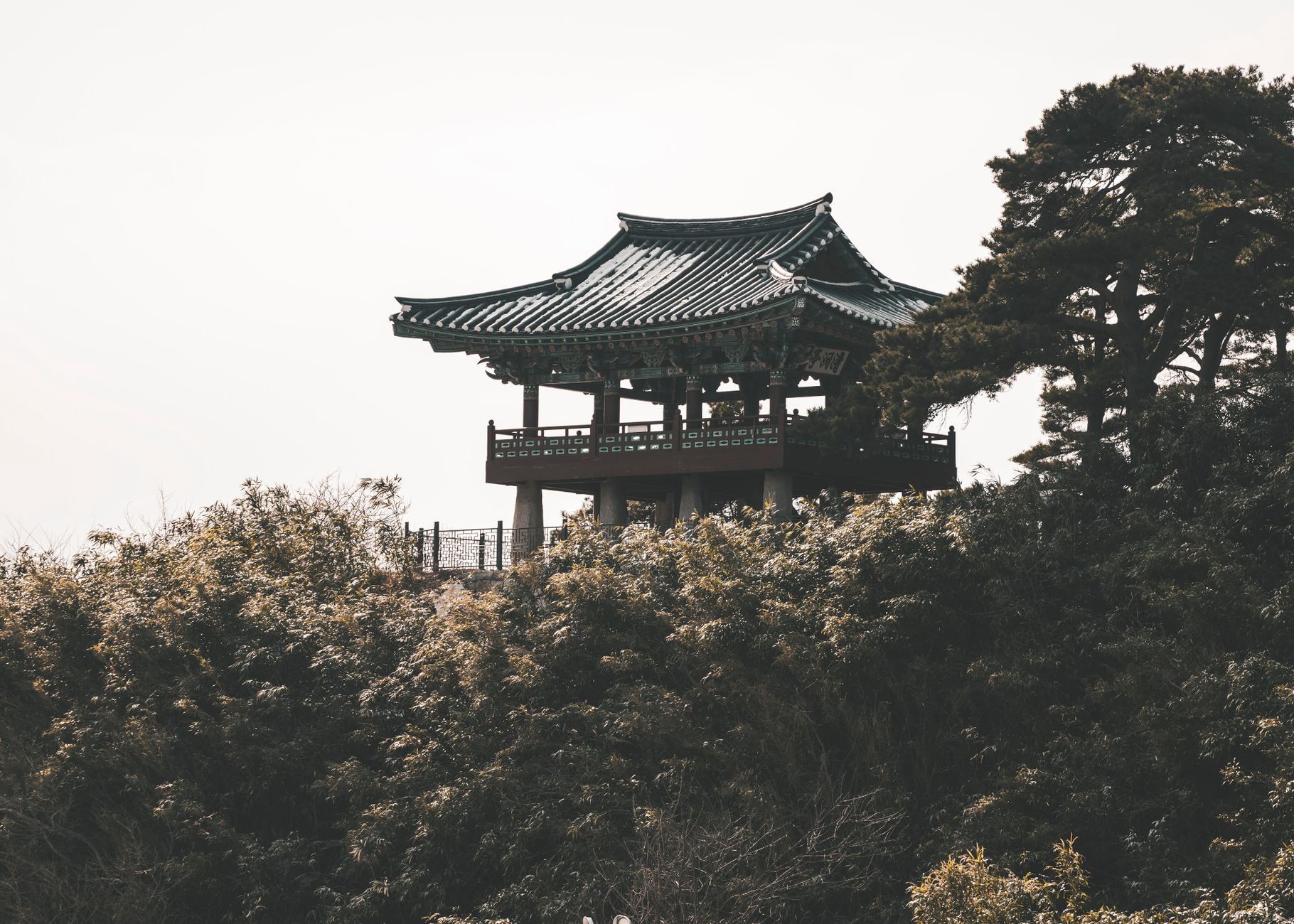 鎌倉の寺院と美しい緑