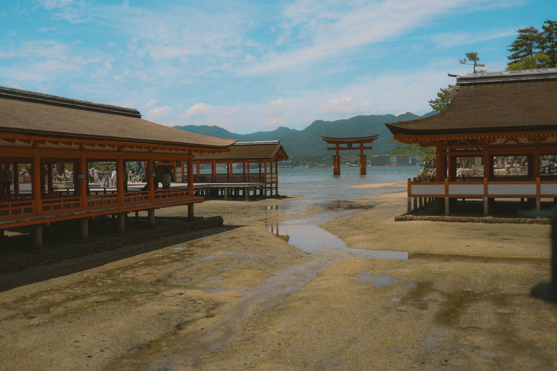 潮の満ち引きによって表情を変える厳島神社の大鳥居
