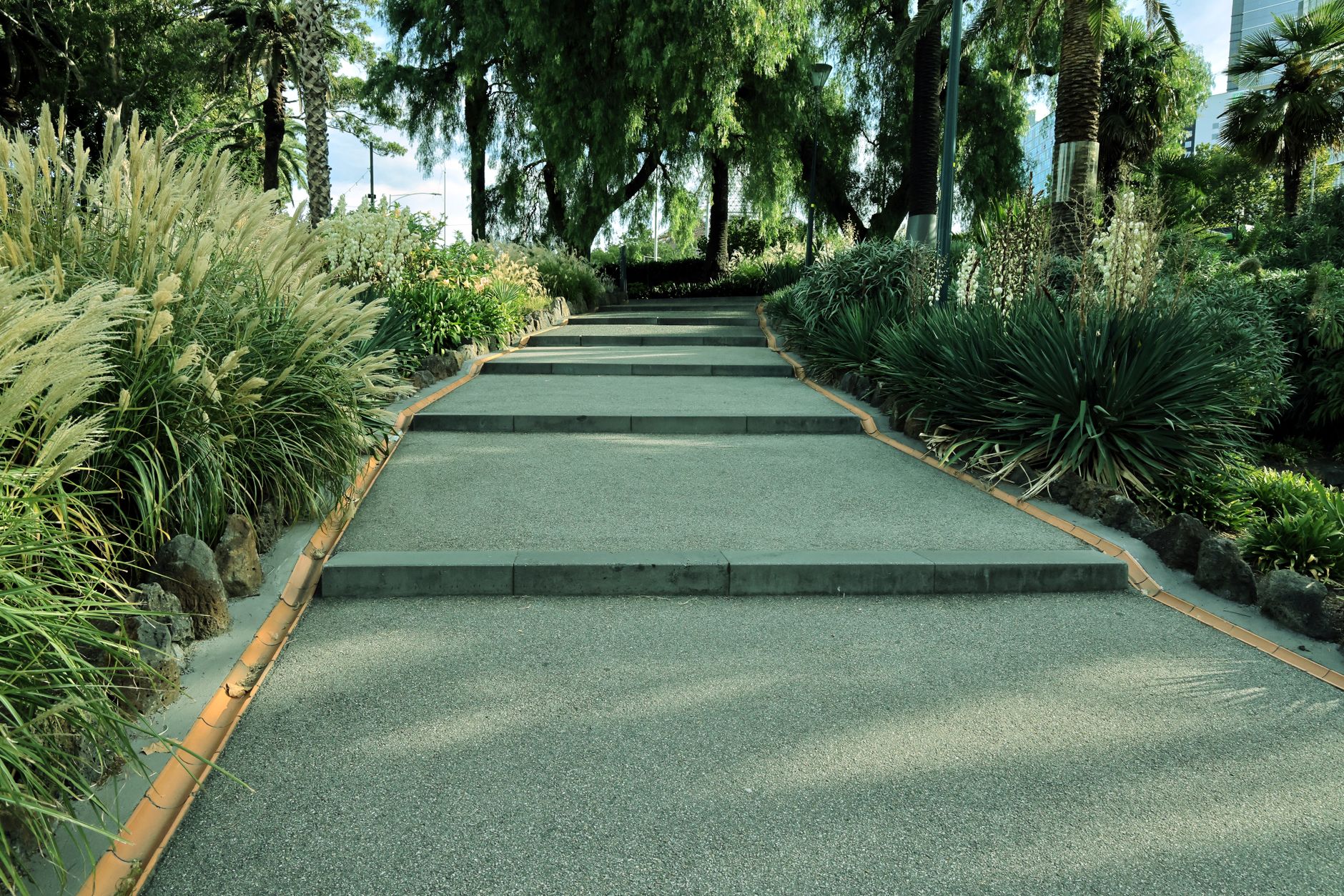 砧公園の豊かな緑に囲まれた散策路