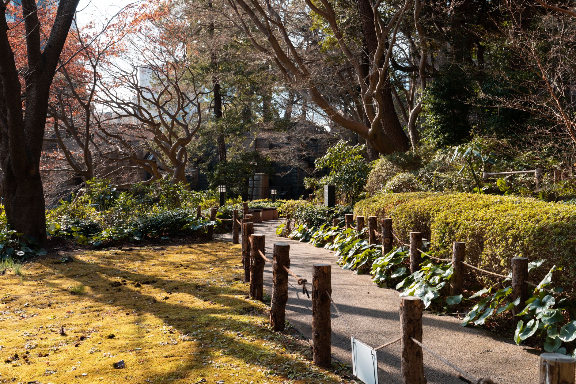 緑豊かな都立庭園の散策路